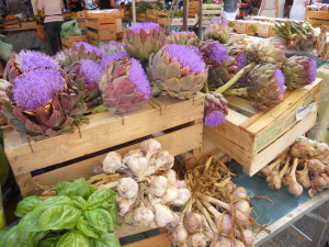 Artichokes in Bloom